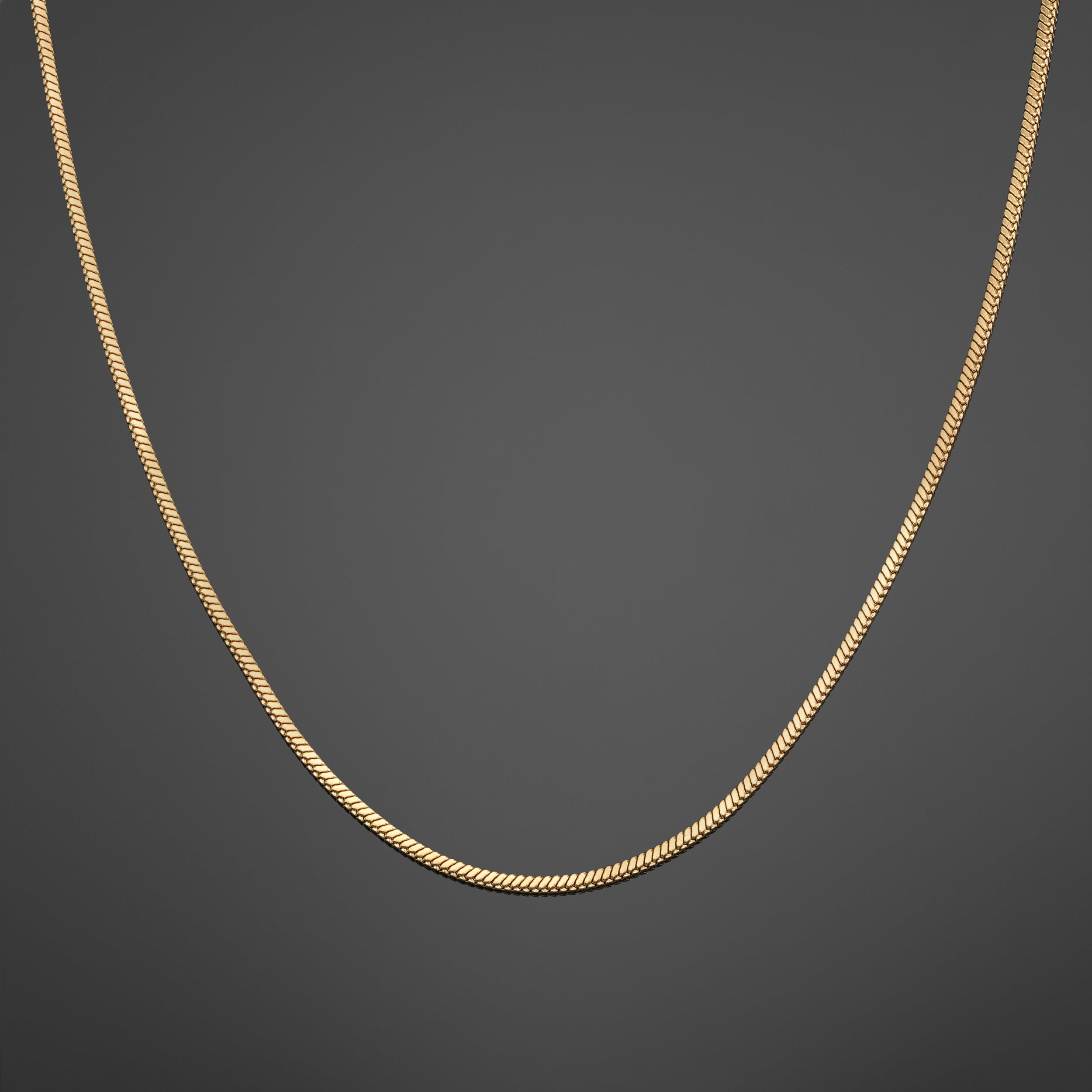 Minimal Snake Chain - Gold RG192