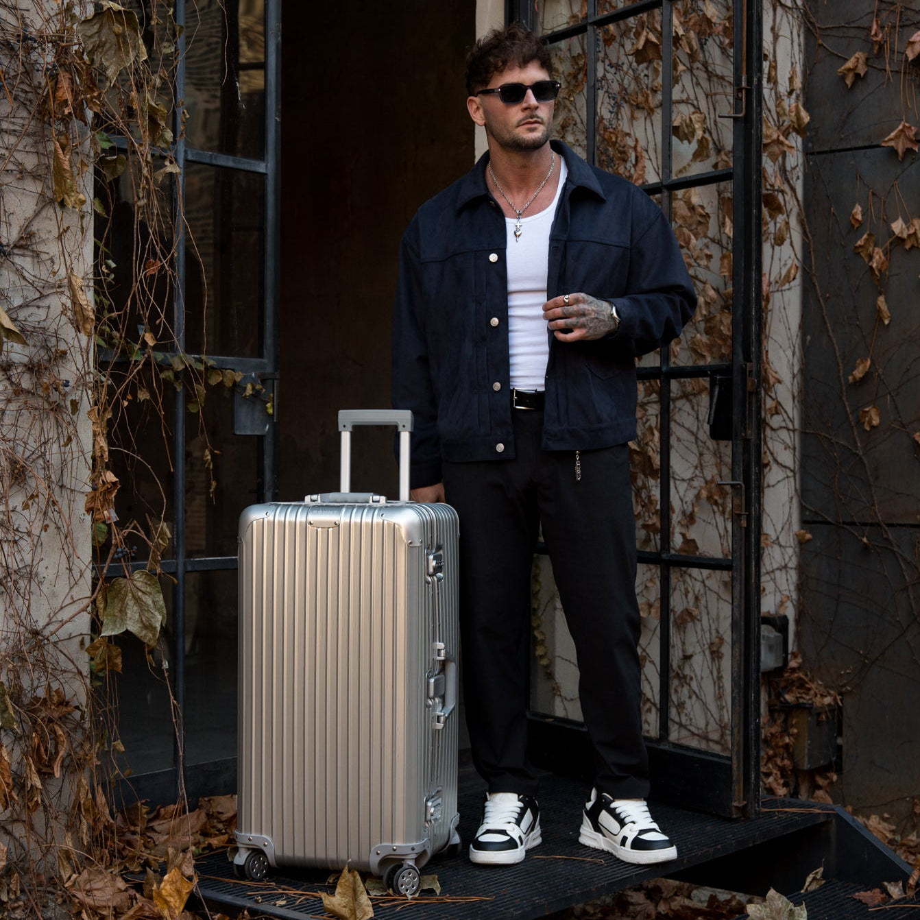 Full-Size Luggage - Silver