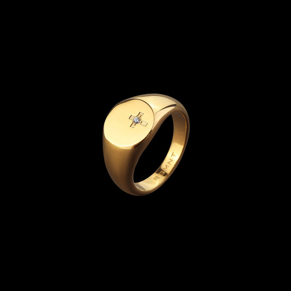 The Monte Cristo Ring - Gold RG233 - rgmntco